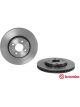 Brembo Brake Rotor