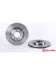 Brembo Disc Brake Rotor (Single) 278mm
