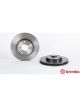 Brembo Disc Brake Rotor (Single) 273mm