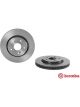 Brembo Disc Brake Rotor (Single) 293mm
