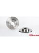 Brembo Brake Rotor