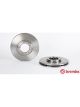 Brembo Brake Rotor