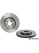 Brembo Disc Brake Rotor (Single) 300mm