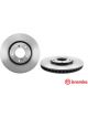 Brembo Disc Brake Rotor (Single) 300mm