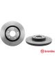 Brembo Disc Brake Rotor (Single) 296mm