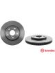 Brembo Disc Brake Rotor (Single) 296mm