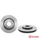 Brembo Disc Brake Rotor (Single) 294mm