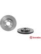 Brembo Brake Rotor