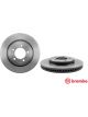 Brembo Disc Brake Rotor (Single) 305mm