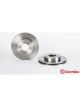 Brembo Disc Brake Rotor (Single) 257mm