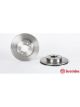 Brembo Brake Rotor