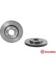 Brembo Brake Rotor