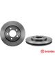 Brembo Disc Brake Rotor (Single) 318mm