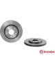 Brembo Disc Brake Rotor (Single) 270mm