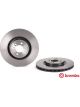 Brembo Disc Brake Rotor (Single) 330mm