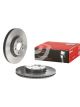 Brembo Disc Brake Rotor (Single) 300mm