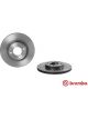 Brembo Disc Brake Rotor (Single) 257mm