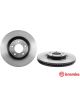 Brembo Disc Brake Rotor (Single) 320mm