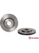 Brembo Disc Brake Rotor (Single) 321mm