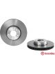 Brembo Disc Brake Rotor (Single) 348mm