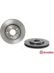 Brembo Brake Rotor