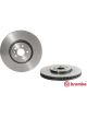 Brembo Disc Brake Rotor (Single) 350mm