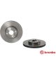 Brembo Disc Brake Rotor (Single) 258mm