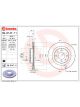 Brembo Disc Brake Rotor (Single) 253mm