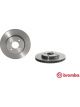 Brembo Disc Brake Rotor (Single) 252mm
