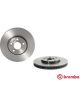 Brembo Disc Brake Rotor (Single) 296mm