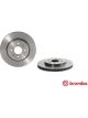 Brembo Disc Brake Rotor (Single) 272mm