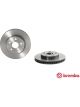 Brembo Disc Brake Rotor (Single) 255mm