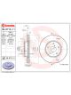 Brembo Disc Brake Rotor (Single) 294mm