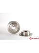 Brembo Brake Rotor
