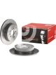 Brembo Brake Rotor