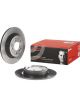 Brembo Brake Rotor