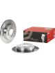Brembo Disc Brake Rotor (Single) 262mm
