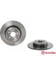 Brembo Disc Brake Rotor (Single) 317mm
