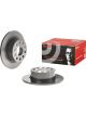 Brembo Disc Brake Rotor (Single) 253mm