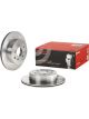 Brembo Brake Rotor