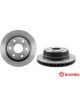 Brembo Disc Brake Rotor (Single) 330mm