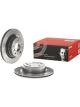 Brembo Disc Brake Rotor (Single) 300mm