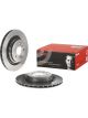 Brembo Brake Rotor