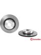 Brembo Disc Brake Rotor (Single) 385mm