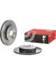 Brembo Disc Brake Rotor (Single) 300mm