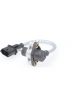 Bosch Crankshaft Position Sensor