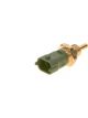 Bosch Temperature Sensor