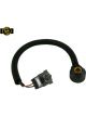 Goss Knock Sensor