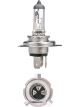 Narva H19 12V 60/55W Puu43T-3 Halogen Headlight Globes