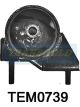Transgold Engine Mount